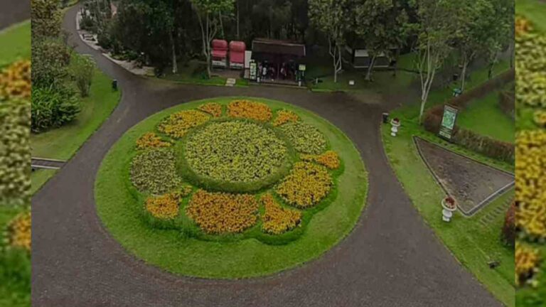 Taman Bunga Nusantara Jawa Barat Pesonanya Memanjakan Mata Ruber Id