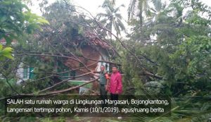 Pohon Tumbang di Kota Banjar Rusak 11 Rumah dan Satu Musala