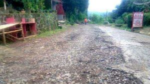 Warga Desa Wargaluyu Keluhkan Kondisi Jalan yang Rusak Parah