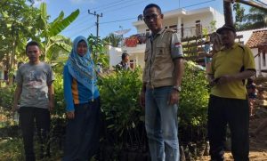 Petani Pangandaran Dapat Bantuan 3000 Benih Pohon Cengkeh