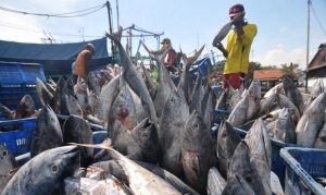 Puluhan Nelayan Pancing Tuna asal Jateng dan Jatim Segera Melaut di Pangandaran