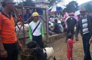 Kadis Peternakan Sumedang Dukung Desa Bangun Pasar Hewan