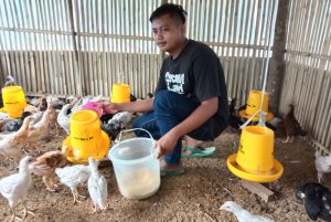 Cerita Sukses Mantan Sukwan di Pemkab Pangandaran Banting Setir Jadi Peternak Ayam, Mulai dari Nol Hingga Sukses Raup Jutaan Rupiah