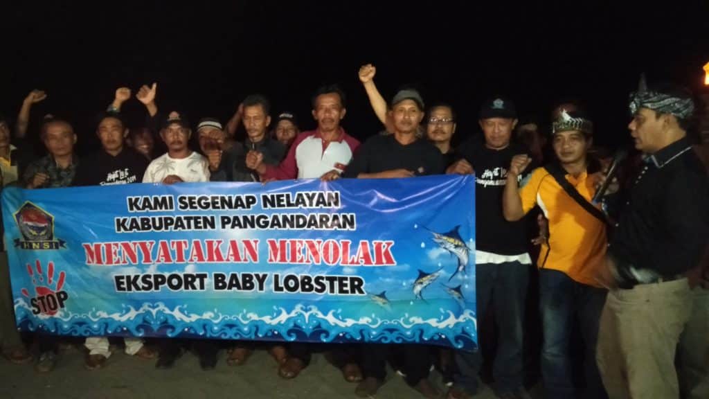 Keran Ekspor Baby Lobster Dibuka, Nelayan Pangandaran Menolak Keras Rencana Menteri Edhy