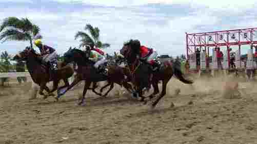 September 2020, Jabar Siap Gelar Kejurnas Pacuan Kuda Piala Presiden di Pangandaran
