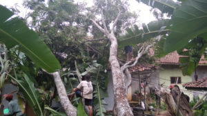 Hujan Angin di Ciamis Tumbangkan Pohon, Atap Rumah Septiadi Hancur