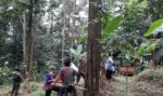 Hilang 2 Hari di Gunung Tampomas, Warga Sumedang Ditemukan Selamat