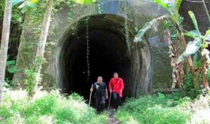 Terowongan Wilhelmina Pangandaran, Dikenal Angker Sejak Dibangun, Simpan Nilai Historis