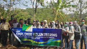 Peduli Lingkungan, BPJAMSOSTEK Sumedang Tanam Pohon saat Employee Volunteering