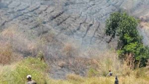 Kawasan Agrobisnis Sumedang Terbakar 3 Hektare
