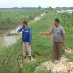 Tanggul Jalur Sungai Citanduy di Pangandaran Terancam Jebol
