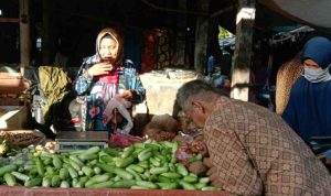Sayuran dan Kebutuhan Pokok Warga di Pangandaran dari Jawa Tengah