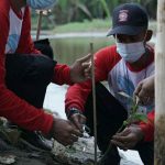 Penanaman 2.7 Juta Bibit Mangrove di Indonesia Melibatkan Tagana