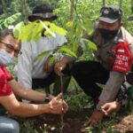 Coca Cola Europacific Partners Indonesia Bareng Desa Sukadana Tanam 1500 Bibit Pohon di Sumedang