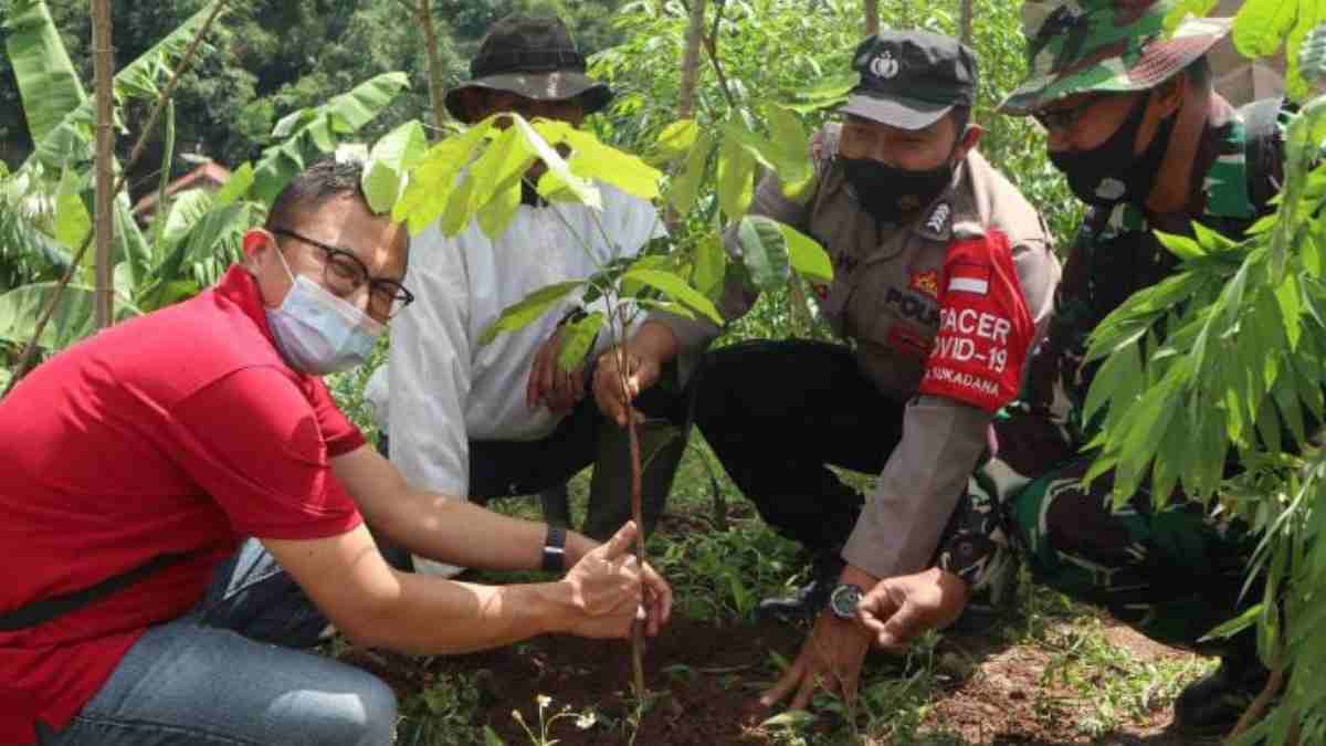 CCEP Indonesia bareng Desa Sukadana tanam 1500 bibit pohon