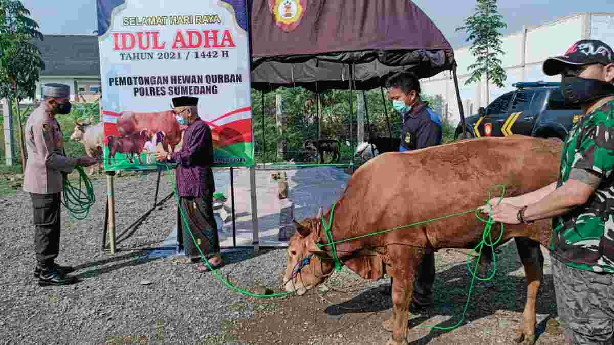 Polres Sumedang bagikan belasan hewan kurban di momen Idul Adha 1442 Hijriah