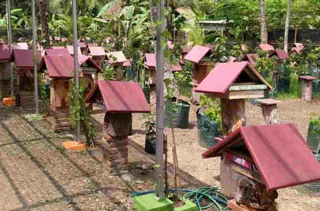 Pembudidaya Lebah Teuweul di Pangandaran Hasilkan Omzet Ratusan Juta