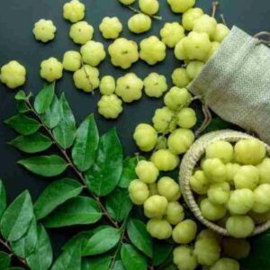 Jenis Daun untuk Obat Herbal dan Khasiatnya