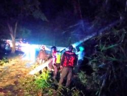 Pohon Tumbang di Pamulihan Sumedang, Arus Lalin di Jalan Cirebon-Bandung Tersendat