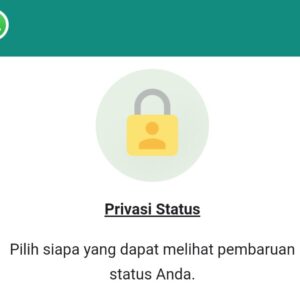 WhatsApp Diblokir dan Dikecualikan dari Status, Kenali Cirinya Ikuti Caranya