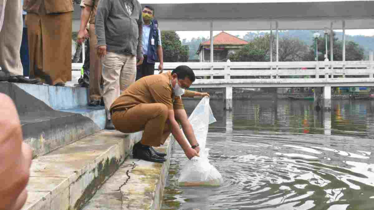 Budidaya Ikan Kanca di Sumedang Menjanjikan