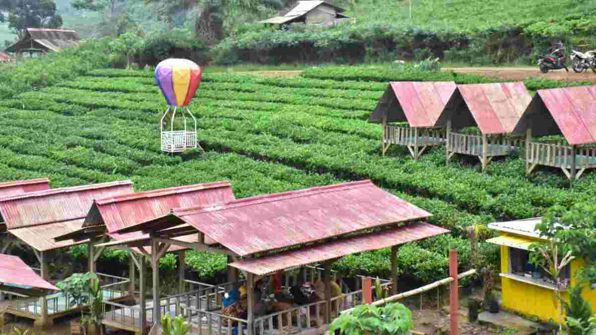 Perkebunan Teh Margawindu Jadi Objek Wisata Favorit di Sumedang