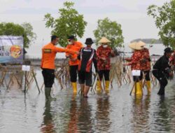 HUT Ke-50 Basarnas, Kantor SAR Jabar Tanam 500 Bibit Mangrove di Pantai Pondok Bali