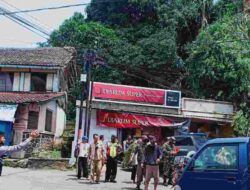 Pohon Beringin Ratusan Tahun Tumbang di Rancakalong Sumedang