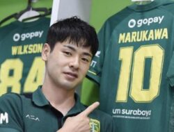 Profil Taisei Marukawa, Pemain Persebaya yang Jadi Incaran Persib Bandung