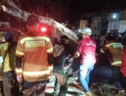 Warga Tanjungsari Tewas Tertimpa Pohon Tumbang di Depan SPBU Ciromed Sumedang