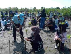 Duta Baca Pangandaran Tanam Mangrove di Pantai Bojong Salawe