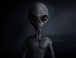 Makhluk Mirip Alien Ditemukan di Australia, Hewan Apakah Itu?