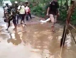 Sumedang Melesat, Warga Tanjungsari Tanam Pohon Pisan dan Tebar Ikan di Jalan Rusak