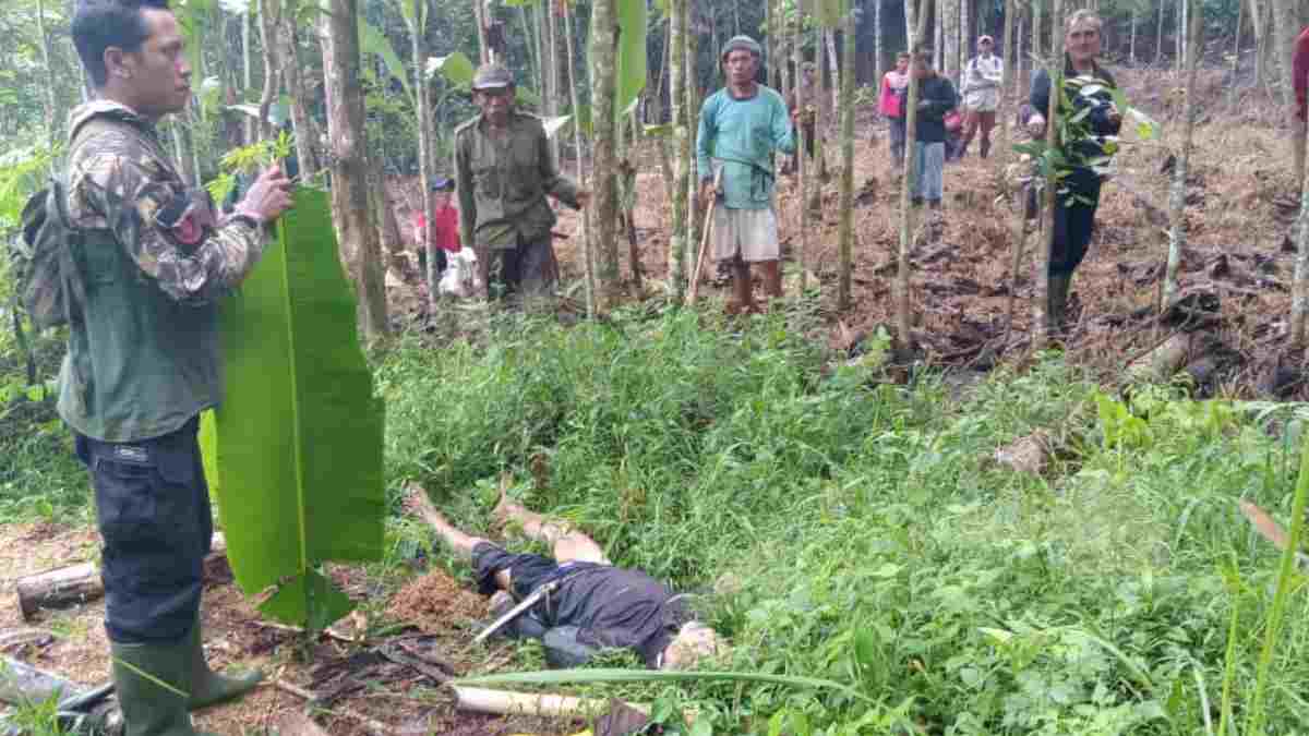 Pamit Nyari Daun Aren, Kakek asal Buahdua Sumedang Ditemukan Tewas di Kebun