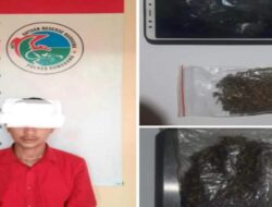 Beli Ganja di Instagram, Warga Sukasari Sumedang Ditangkap Polisi