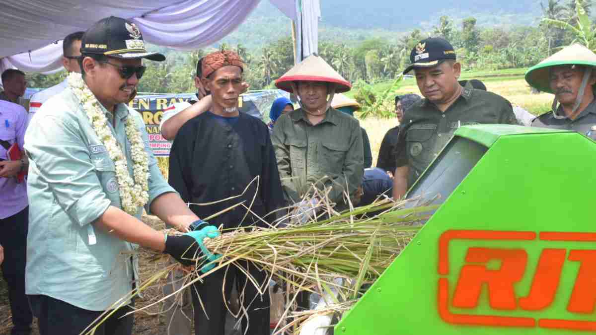 Budi Daya Padi Organik Lebih Menguntungkan