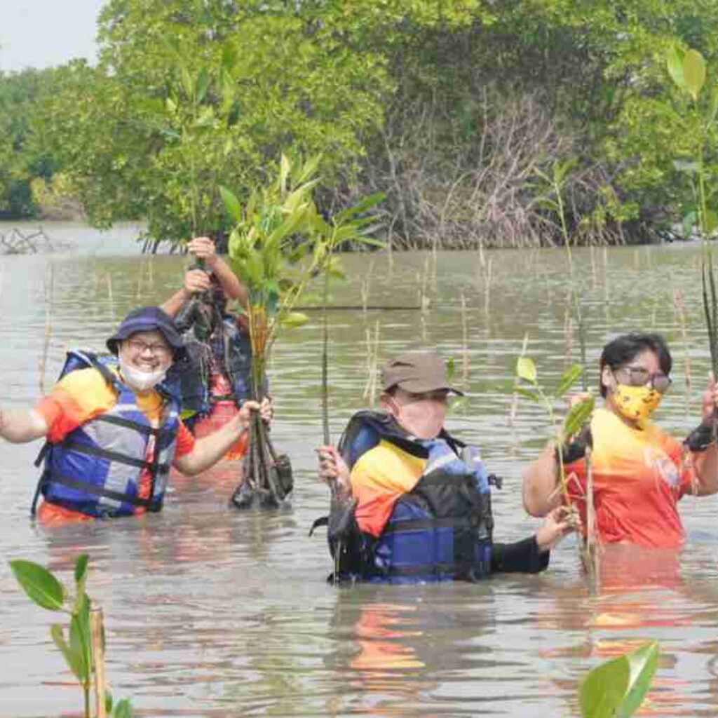 Only One Earth, Bio Farma Konsisten Dukung Pelestarian Mangrove di Subang