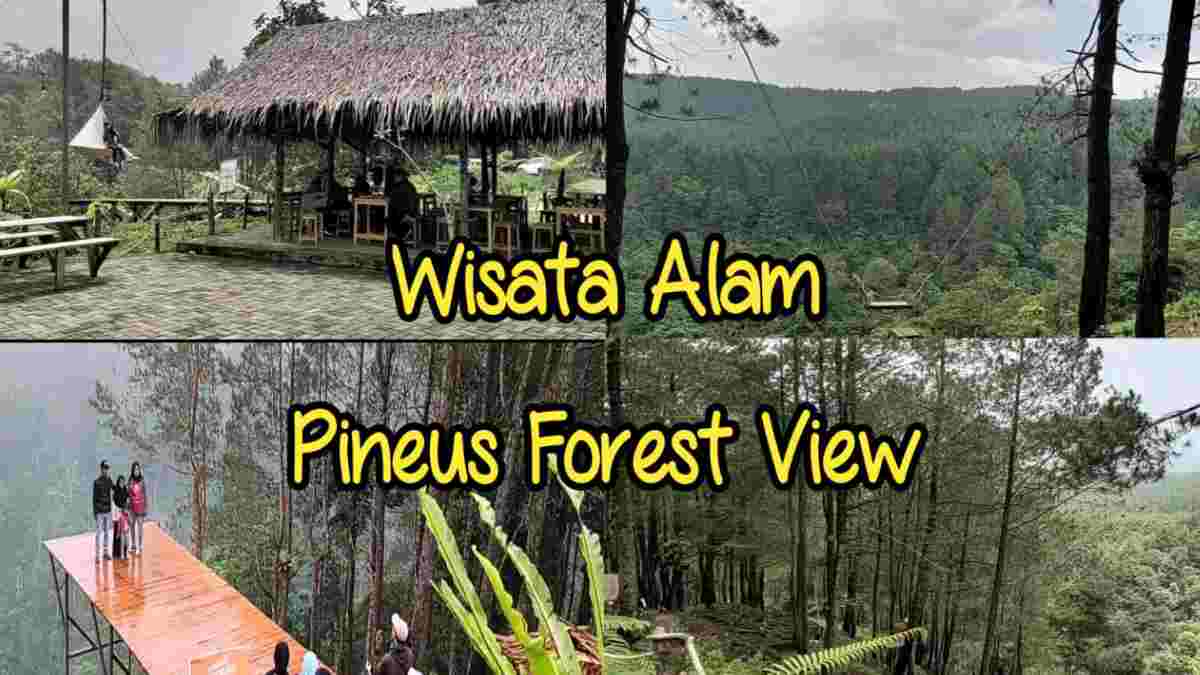 Wisata Alam Pineus Forest View, Wisata Kekinian di Tasikmalaya