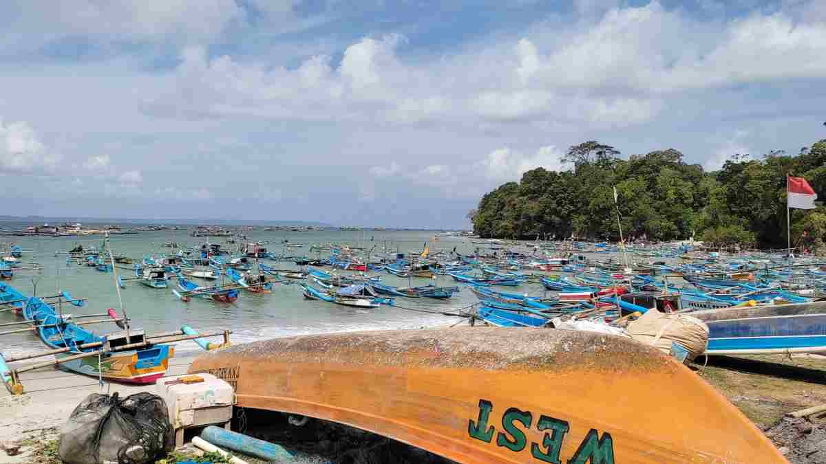 retribusi ikan tangkap