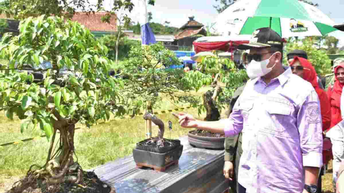 Desa Citimun Sumedang Peringati Milangkala dengan Pameran Bonsai