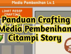 Panduan Crafting Media Pembenihan Citampi Story 