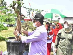 Seni Bonsai di Sumedang, dari Sampah Jadi Rupiah