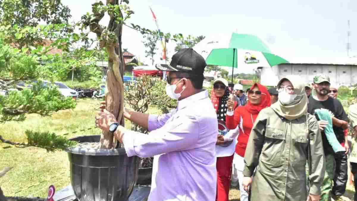 Seni Bonsai di Sumedang, dari Sampah Menjadi Rupiah