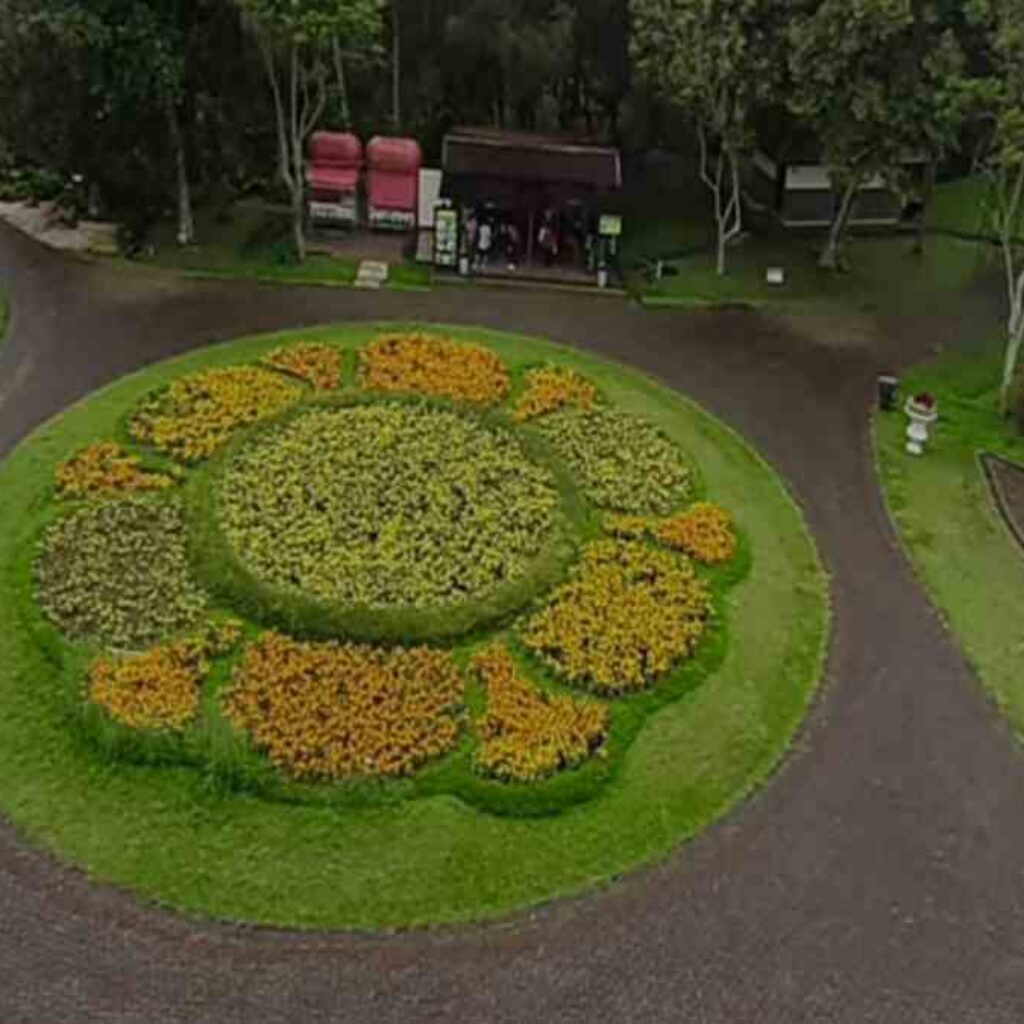 Taman Bunga Nusantara Jawa Barat, Pesonanya Memanjakan Mata