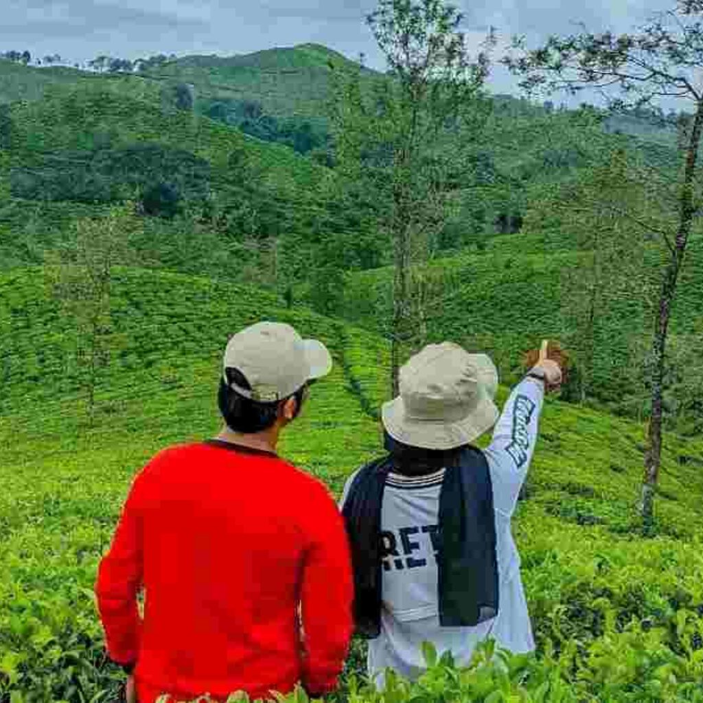 Wisata Kebun Teh Taraju Tasikmalaya, Berlibur Sambil Menikma