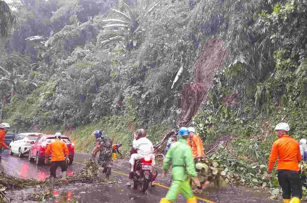 Pohon Tumbang di Cadas Pangeran Sumedang