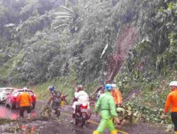 Pohon Tumbang di Cadas Pangeran Sumedang