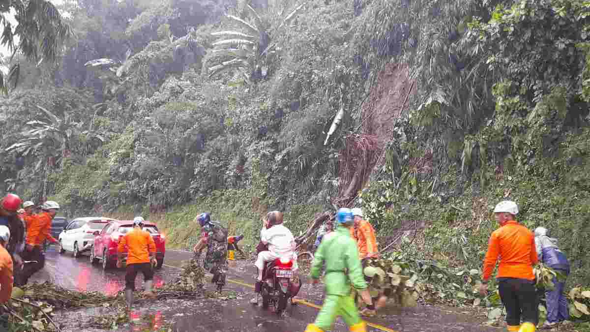 Pohon Hamerang Tumbang di Cadas Pangeran Sumedang