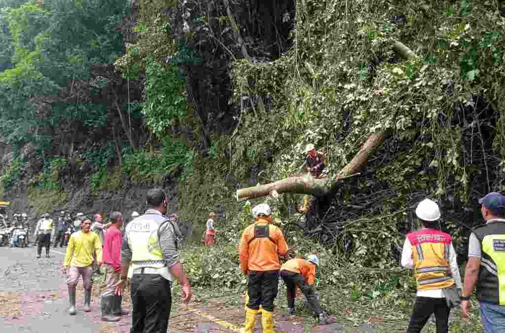 Pohon Tua Tumbang di Cadas Pangeran Sumedang, Arus Lalu Lintas Macet