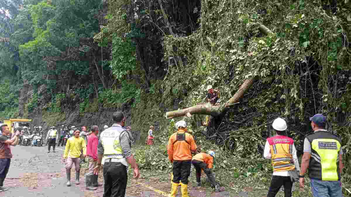 Pohon Tua Tumbang di Cadas Pangeran Sumedang, Arus Lalu Lintas Macet